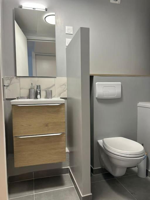 New Cosy House 15 Min Paris Roissy Cdg & 6 Min Parc Asterix I Villepinte Vemars Екстер'єр фото